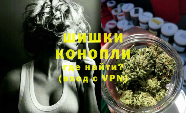 ECSTASY Богородицк